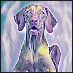 Picture of Vizsla-Lavender Ice Mug