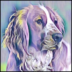 Picture of Welsh Springer Spaniel-Lavender Ice Mug