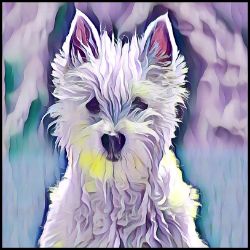 Picture of West Highland Terrier-Lavender Ice Mug