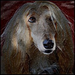 Picture of Afghan Hound-Rock Candy Mug