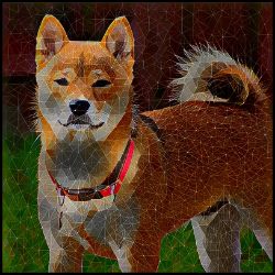 Picture of Akita Shiba Inu-Rock Candy Mug