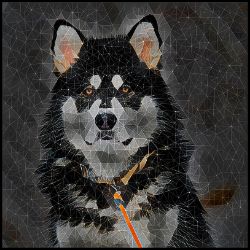 Picture of Alaskan Malamute-Rock Candy Mug