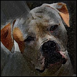 Picture of American Bulldog-Rock Candy Mug