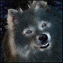 Picture of American Eskimo-Rock Candy Mug