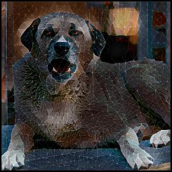 Picture of Anatolian Shepherd-Rock Candy Mug