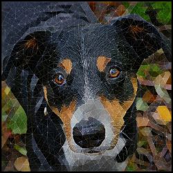 Picture of Appenzeller Sennenhund-Rock Candy Mug