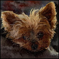 Picture of Australian Terrier-Rock Candy Mug
