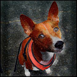 Picture of Basenji-Rock Candy Mug