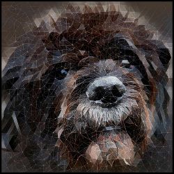 Picture of Bouvier de Flandres-Rock Candy Mug