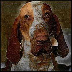 Picture of Bracco Italiano-Rock Candy Mug