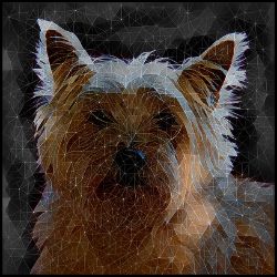 Picture of Cairn Terrier-Rock Candy Mug