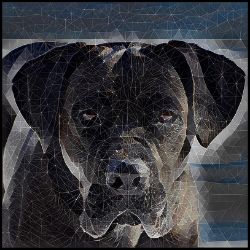 Picture of Cane Corso-Rock Candy Mug