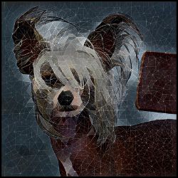 Picture of Chinese Crested-Rock Candy Mug