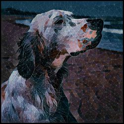 Picture of English Setter-Rock Candy Mug