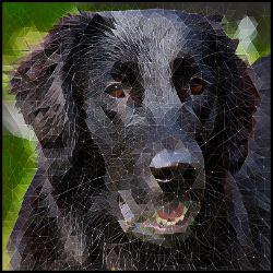 Picture of Flat Coated Retriever-Rock Candy Mug