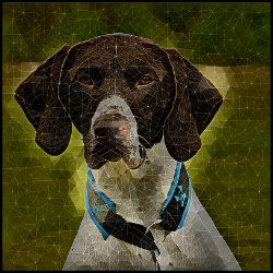 Picture of German Shorthaired Pointer-Rock Candy Mug