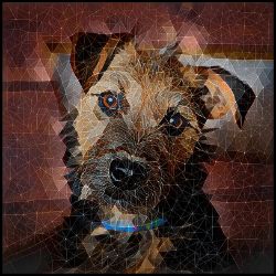 Picture of Lakeland Terrier-Rock Candy Mug