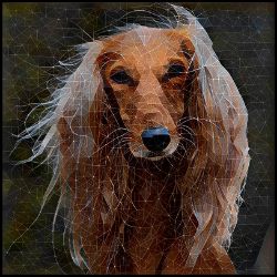 Picture of Saluki-Rock Candy Mug