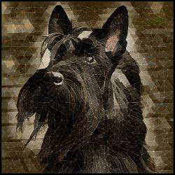 Picture of Scottish Terrier-Rock Candy Mug