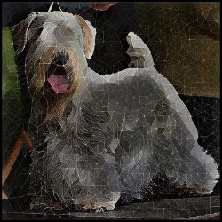 Picture of Sealyham Terrier-Rock Candy Mug