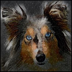 Picture of Shetland Sheepdog-Rock Candy Mug
