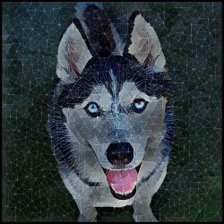 Picture of Siberian Husky-Rock Candy Mug