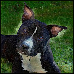 Picture of Staffordshire Bull Terrier-Rock Candy Mug