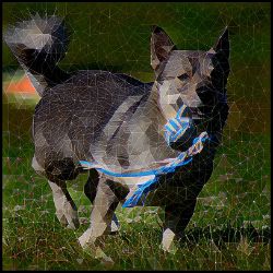 Picture of Swedish Vallhund-Rock Candy Mug