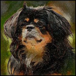 Picture of Tibetan Spaniel-Rock Candy Mug