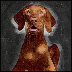 Picture of Vizsla-Rock Candy Mug