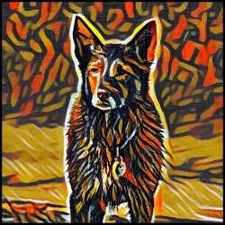 Picture of Australian Kelpie-Graffiti Haus Mug