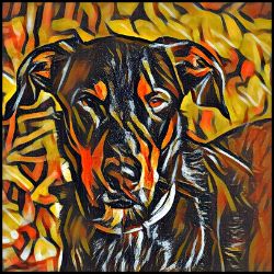 Picture of Beauceron-Graffiti Haus Mug