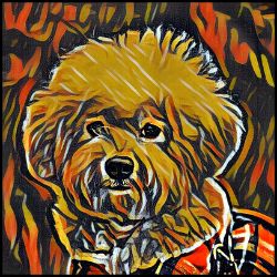 Picture of Bichon Frise-Graffiti Haus Mug