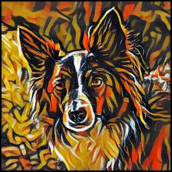 Picture of Border Collie-Graffiti Haus Mug