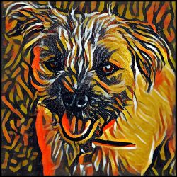 Picture of Border Terrier-Graffiti Haus Mug