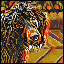 Picture of Boykin Spaniel-Graffiti Haus Mug