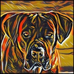 Picture of Cane Corso-Graffiti Haus Mug