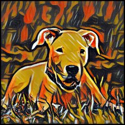 Picture of Dogo Argentino-Graffiti Haus Mug