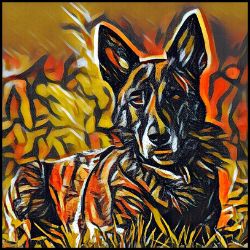 Picture of Dutch Shepherd-Graffiti Haus Mug