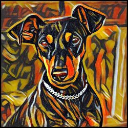 Picture of German Pinscher-Graffiti Haus Mug