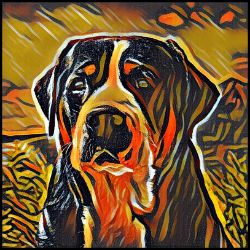 Picture of Greater Swiss Mountain Dog-Graffiti Haus Mug