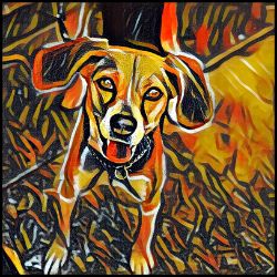 Picture of Harrier-Graffiti Haus Mug