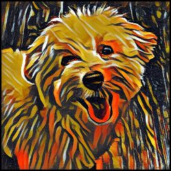 Picture of Maltipoo-Graffiti Haus Mug
