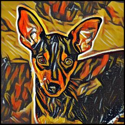 Picture of Miniature Pinscher-Graffiti Haus Mug