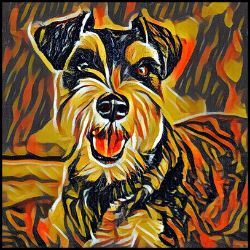 Picture of Miniature Schnauzer-Graffiti Haus Mug