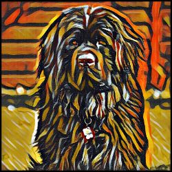 Picture of Newfoundland-Graffiti Haus Mug