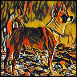 Picture of Norwegian Lundehund-Graffiti Haus Mug