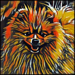 Picture of Pomeranian-Graffiti Haus Mug