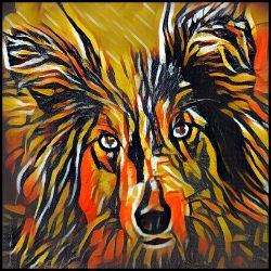 Picture of Shetland Sheepdog-Graffiti Haus Mug