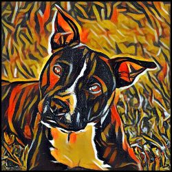 Picture of Staffordshire Bull Terrier-Graffiti Haus Mug